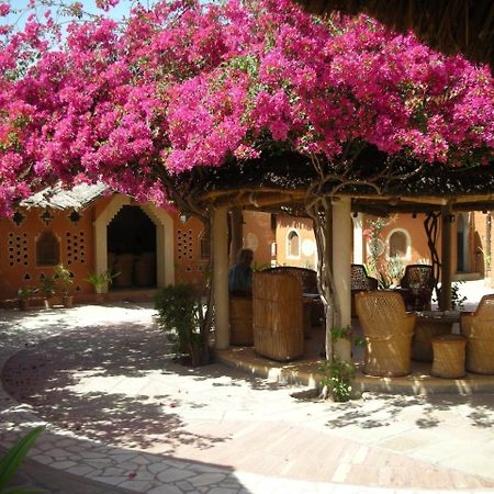 Apani Dhani Eco-Lodge Nawalgarh Eksteriør billede