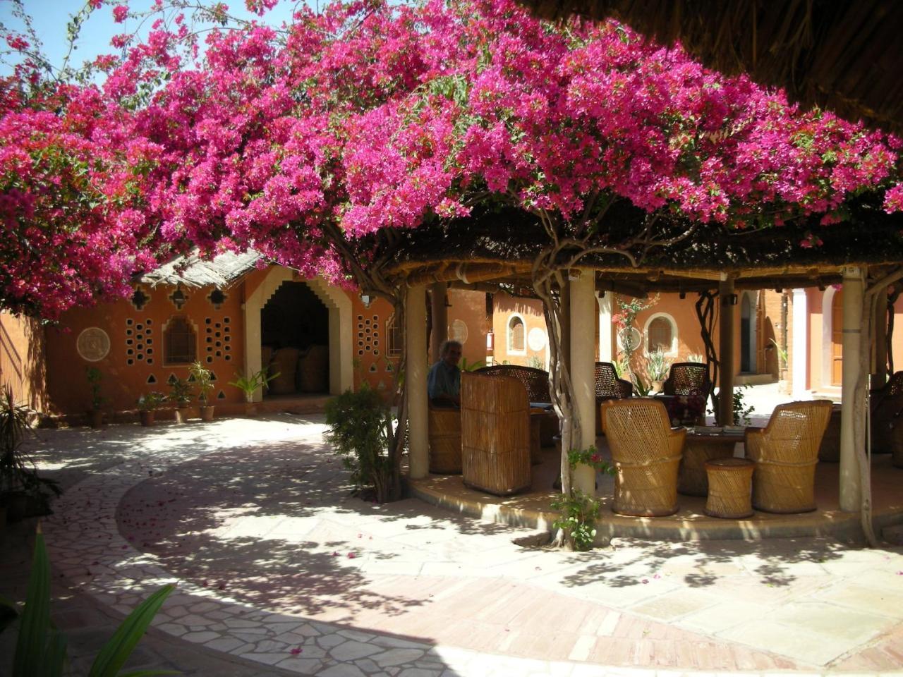 Apani Dhani Eco-Lodge Nawalgarh Eksteriør billede