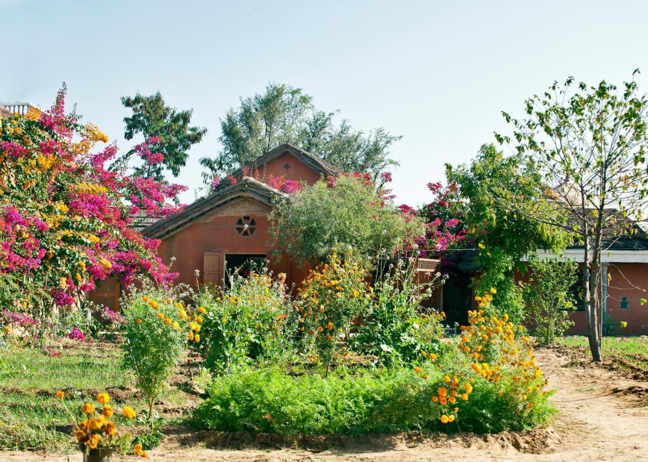 Apani Dhani Eco-Lodge Nawalgarh Eksteriør billede
